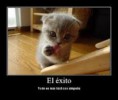 /album/fotogaleria/exito-jpg/